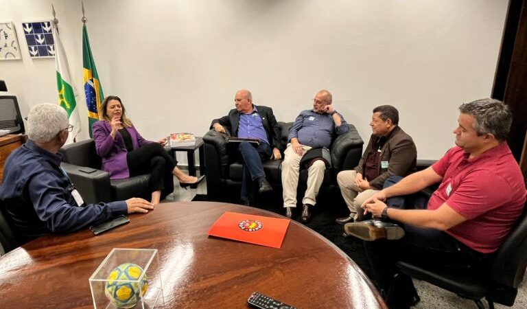 Força Sindical do Distrito Federal e a Nacional reuniram-se com a senadora Leila do Vôlei.